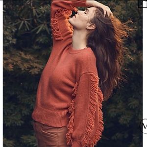 Ann Taylor Balloon Sleeve Fringe Sweater